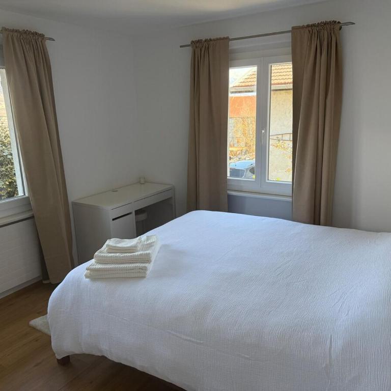 Appartement entier avec terrasse et jardin - Apartment mit 1 Schlafzimmer und Garten - 7