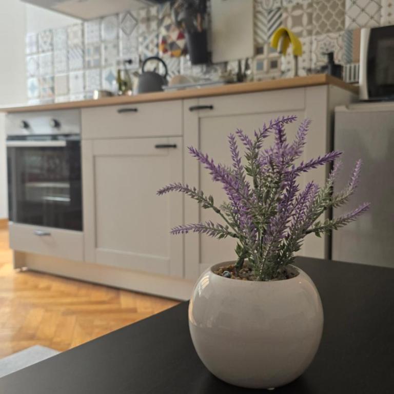 Apartment Major - Apartman sa 1 Spavaćom Sobom - 5