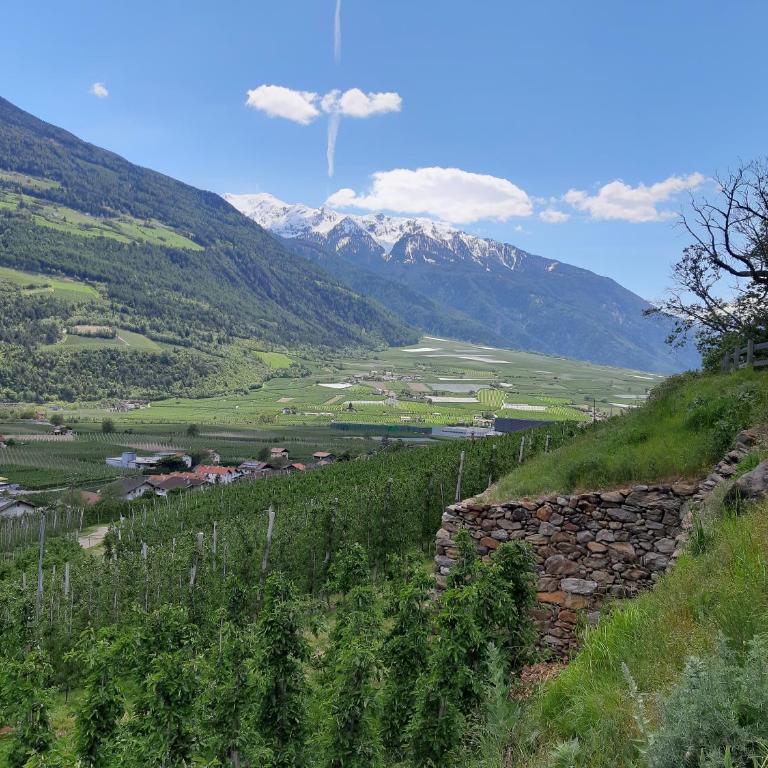 Weinreichhof - Appartamento - 15