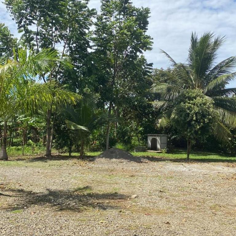 Casa finca Boscar Punta Piedra,Urabá - Casa de 3 dormitorios - 32