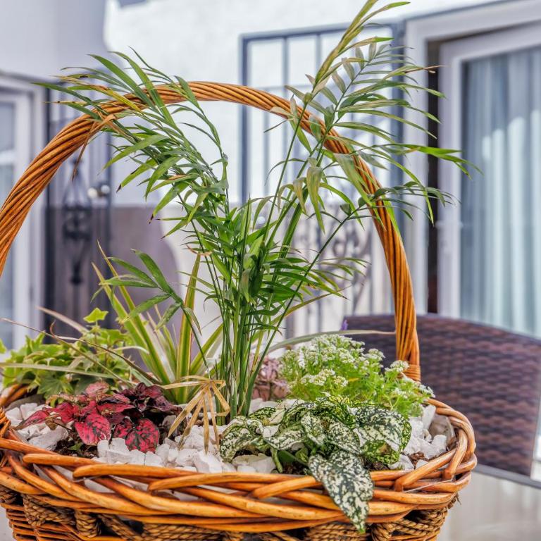 Casa El Califato de Córdoba - Apartamento Deluxe de 3 dormitorios - 55