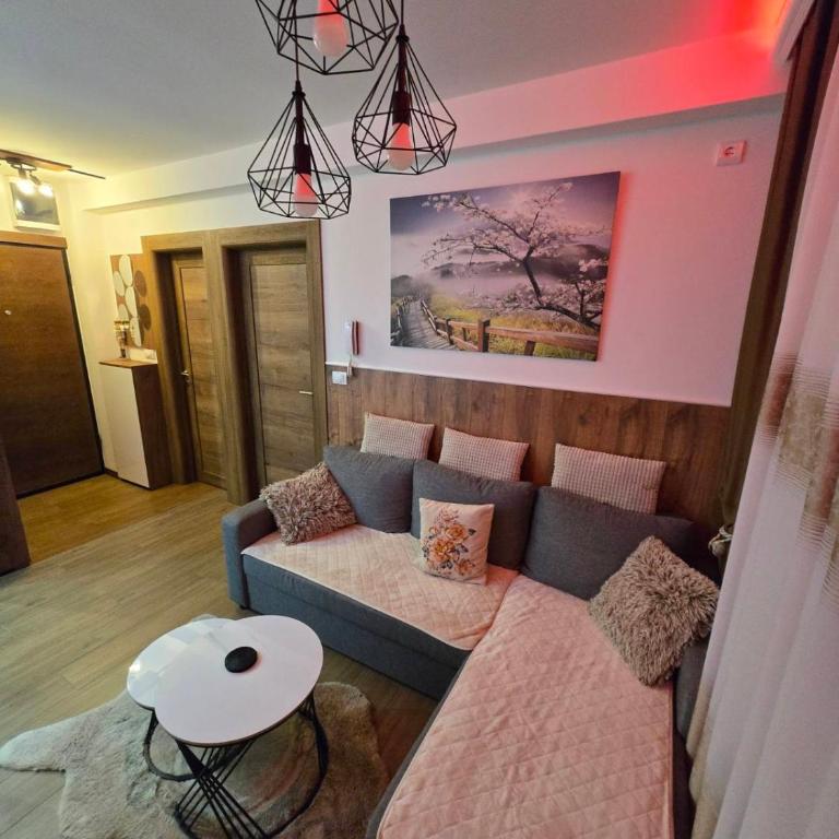 Borovi 24 - Apartman sa 1 Spavaćom Sobom - 11