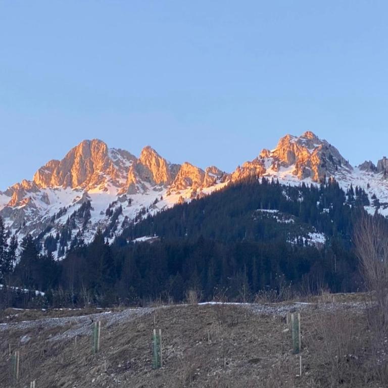 Mountainview - Kempten Stadtnahe 2 Zi Whg - Apartamento de 1 dormitorio - 7