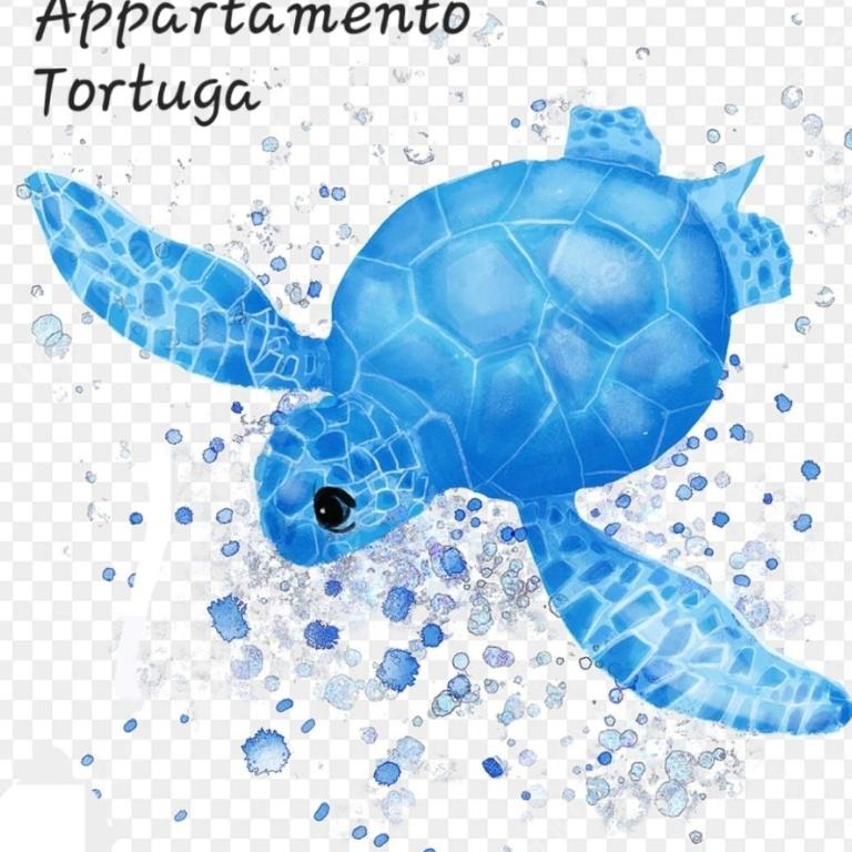 Appartamento Tortuga - Appartamento con 2 Camere da Letto - 59