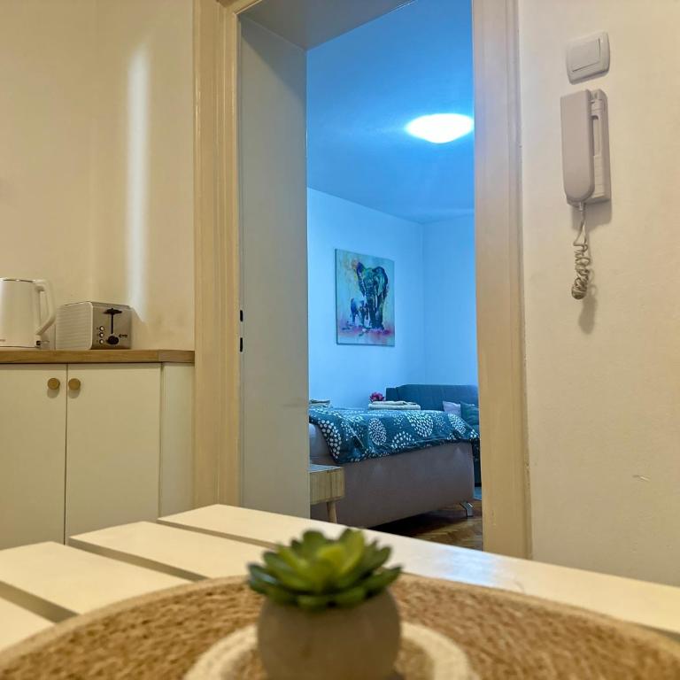 Downtown apartman T - Apartman sa 1 Spavaćom Sobom - 9