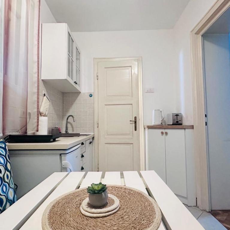 Downtown apartman T - Apartman sa 1 Spavaćom Sobom - 8