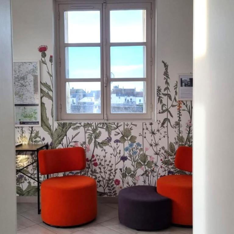 Le Grenier à Sel d'Amboise 5 pers PMR, parking privé, terrasse, maison historique - Appartamento con 2 Camere da Letto - 17