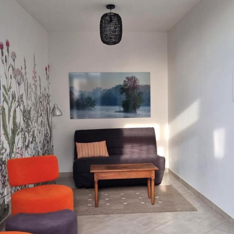 Le Grenier à Sel d'Amboise 5 pers PMR, parking privé, terrasse, maison historique - Appartamento con 2 Camere da Letto - 16