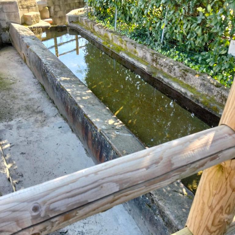 Appartamento - I girasoli - Appartamento con 1 Camera da Letto - 21
