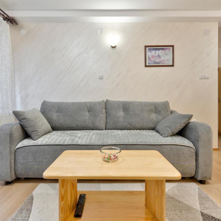 Vila Zlatiborski biser - One-Bedroom Apartment with Terrace - 8