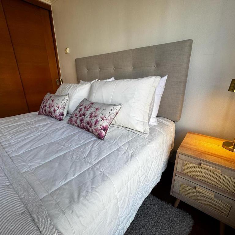 HOM I 1D1B 3PAX en Providencia metro Manuel Montt PF308 - Apartamento - 15