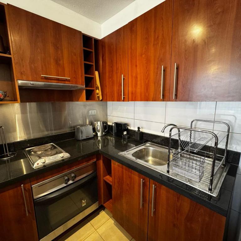 HOM I 1D1B 3PAX en Providencia metro Manuel Montt PF308 - Apartamento - 24