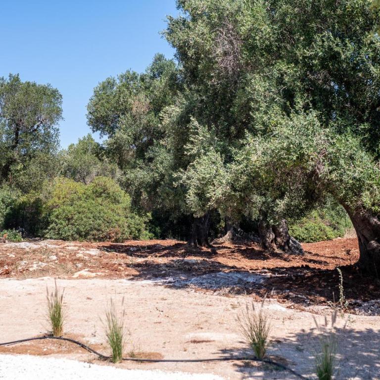 Villa Nicola' by Perle di Puglia - Villa con Piscina Privata - 47