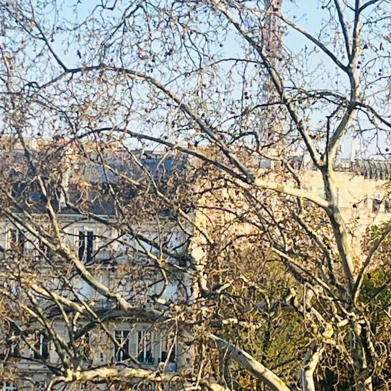 Place équipe au Coeur de Paris avec Vue sur l'Arc de Triomphe et la Tour Eiffel - Chambre Double avec Salle de Bains Privative - 25