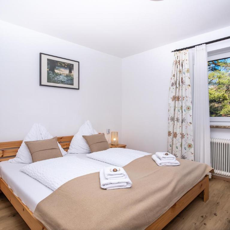 Alpina Apartments - Zell am See - Air Condition - Apartment mit Balkon - 2
