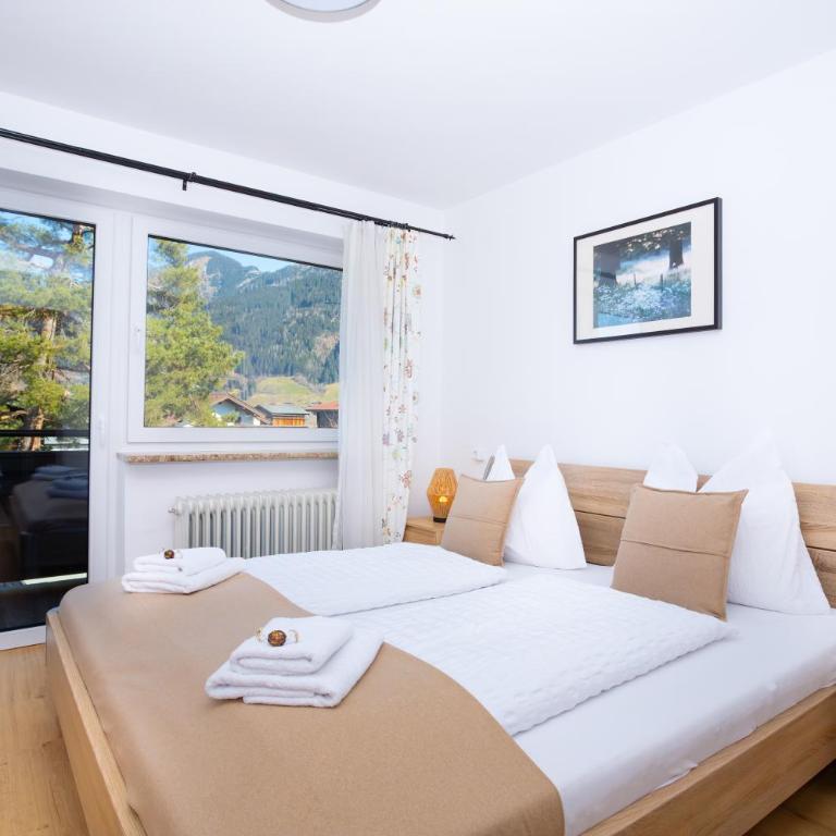 Alpina Apartments - Zell am See - Air Condition - Apartment mit Blick auf die Berge - 1