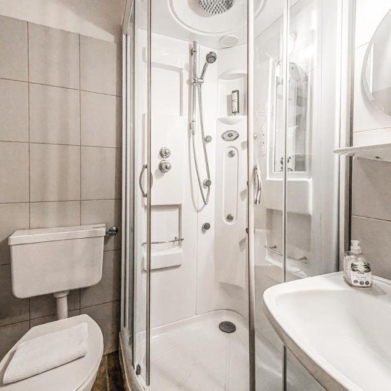 Alpina Apartments - Zell am See - Air Condition - Apartment mit Seeblick - 19