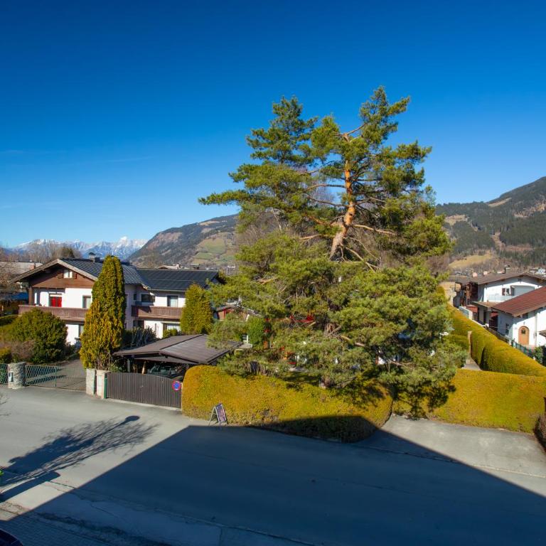 Alpina Apartments - Zell am See - Air Condition - Apartment mit Balkon - 12