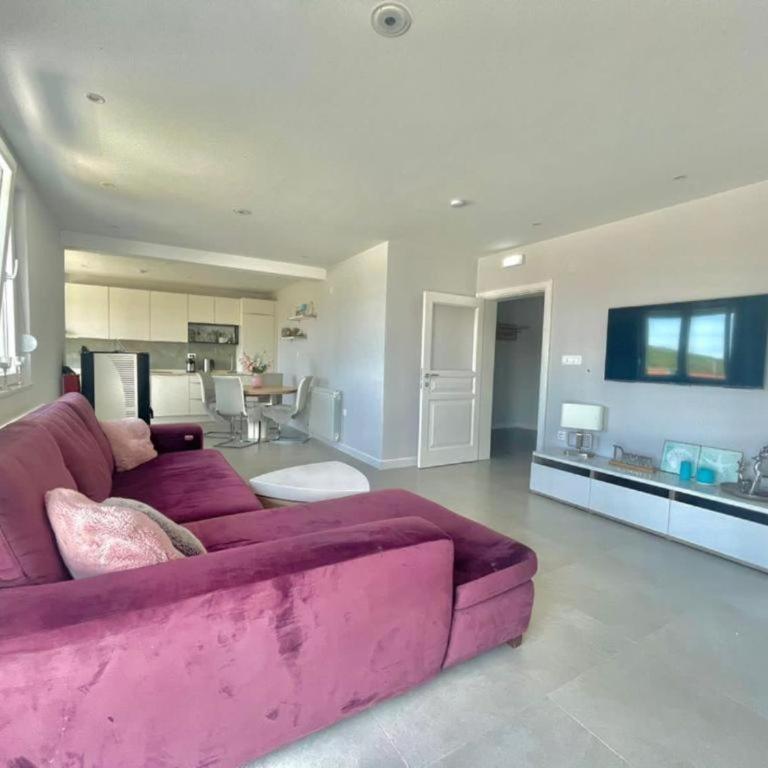 Family Apartments Stefan - Apartman sa 2 Spavaće Sobe - 9