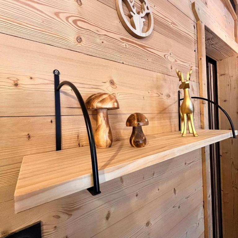 Chalet l'Epicéa T3 sous les pins à 5 min à pied des pistes et commerces - Chalet - 16