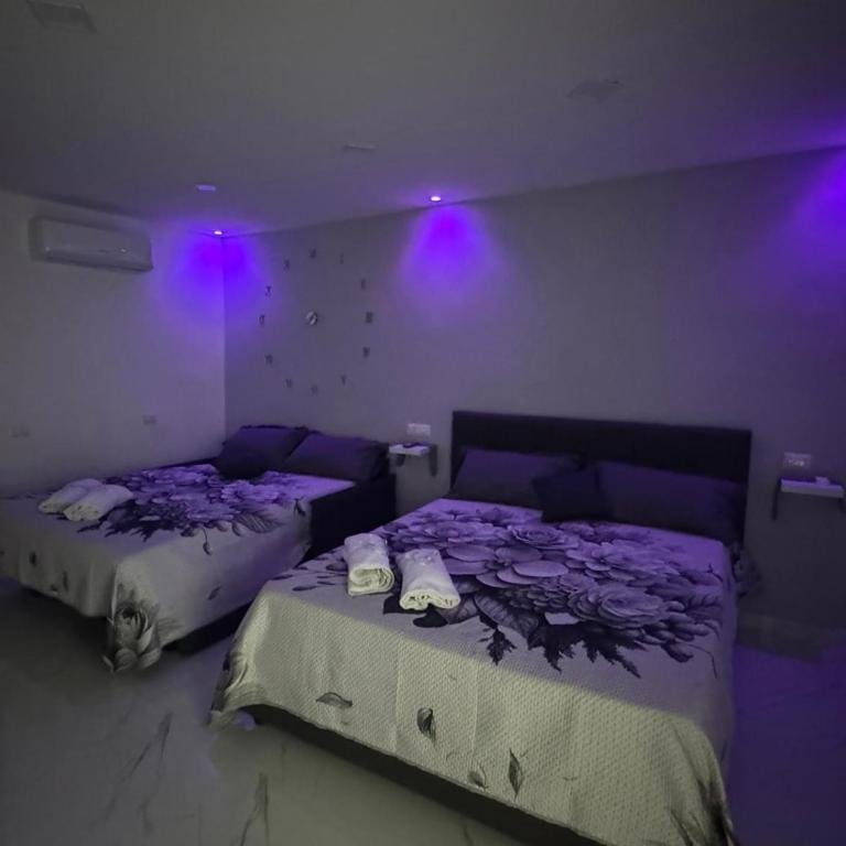 Vinny's house - Appartamento con 1 Camera da Letto - 2