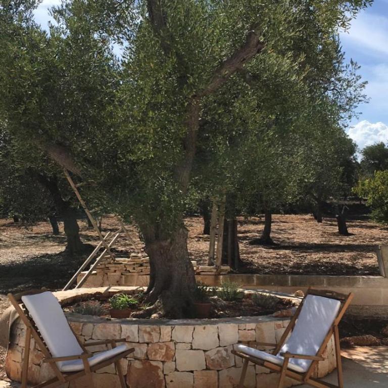 Trullo Zurlo - Casa con 2 Camere da Letto - 49