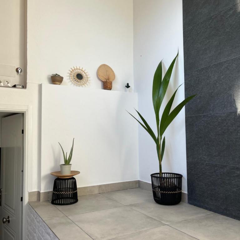 AVD ANDALUCíA - Apartamento de 2 dormitorios - 23