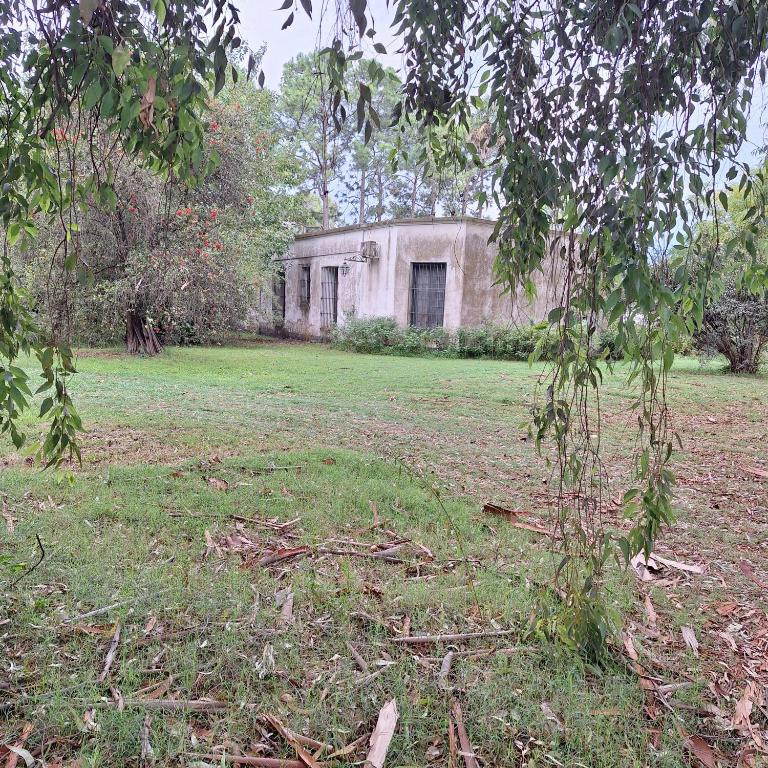 Chacra del Molino - Casa de 2 dormitorios - 37