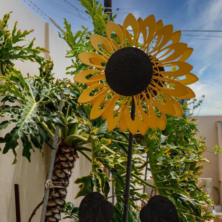 Seaside Adventure Lodging - Deluxe Queen Studio - 37