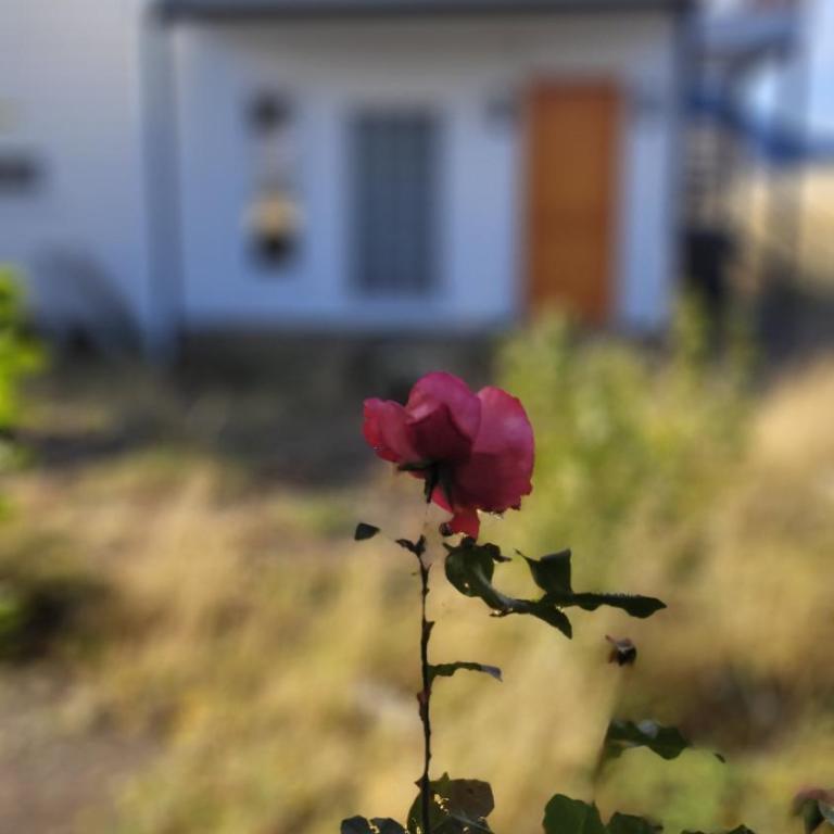 Cabañas Patagonia Encantada - Two-Bedroom House - 4