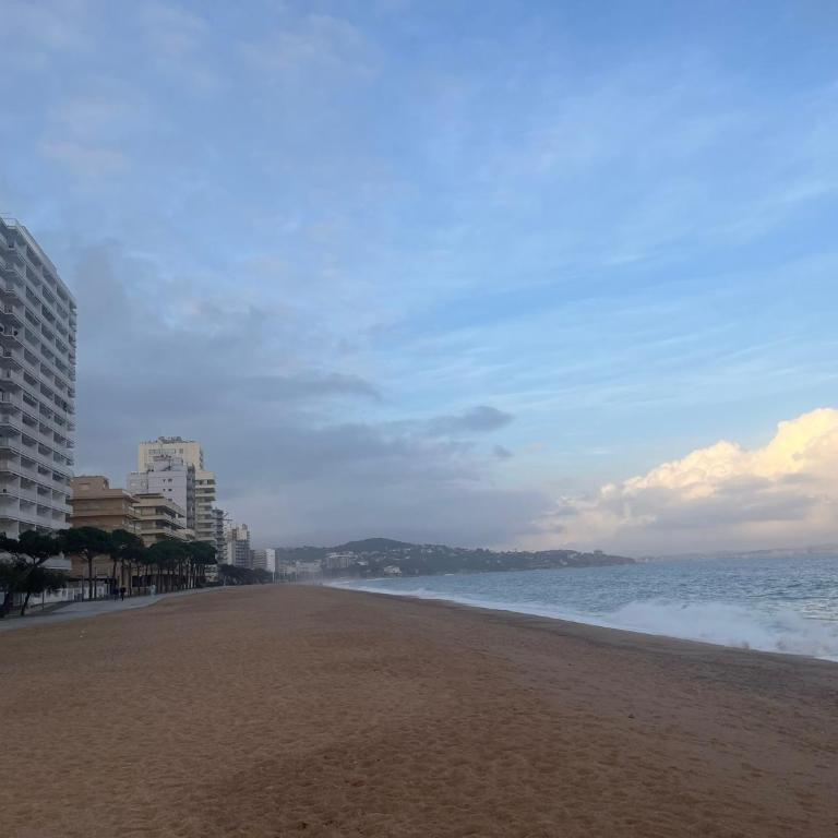 Cloud 14 - Apartamento de 1 dormitorio - 6