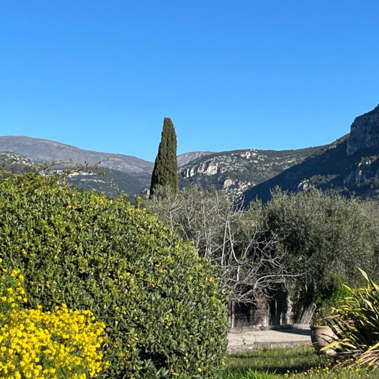 Appartement dans le magnifique Mas des Serens - Appartement 1 Chambre - 22