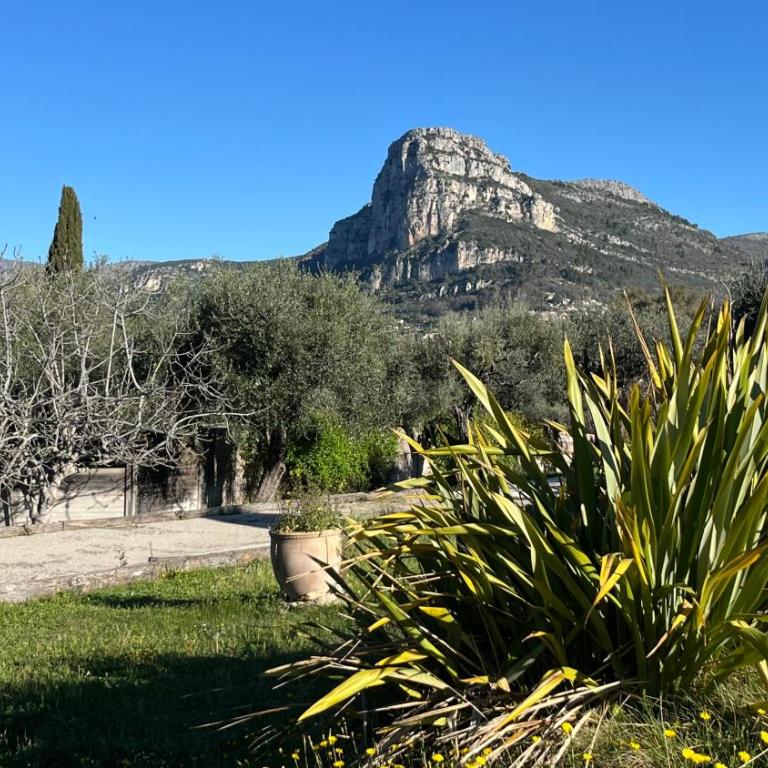 Appartement dans le magnifique Mas des Serens - Appartement 1 Chambre - 20