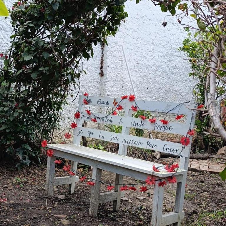 Hotel Villa Carlinita - Apartment - 5