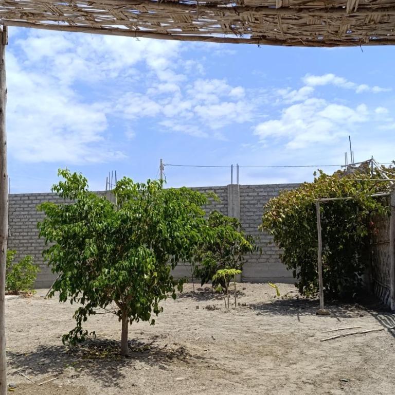 Casa de Playa - El Hospedaje de Liz - Huarmey - One-Bedroom House - 7