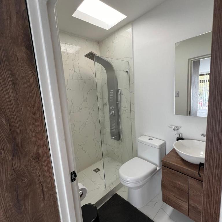 Alojamiento Privado en Avenida Principal - Habitación Deluxe con cama extragrande - 14