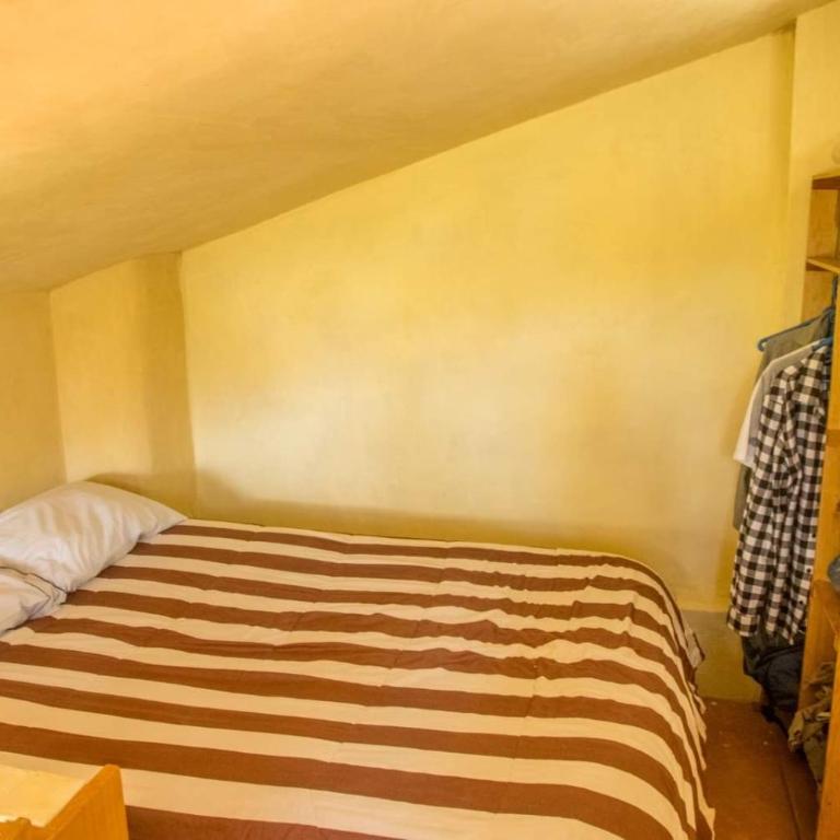 Cozy Studio - One-Bedroom Apartment - 4