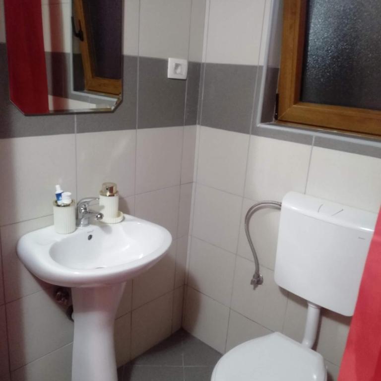 Apartments Popovic - Apartman - Prizemlje - 3