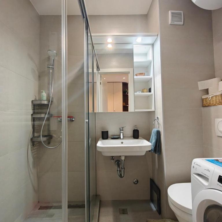 The Gates of Vracar - Apartman sa 1 Spavaćom Sobom - 19