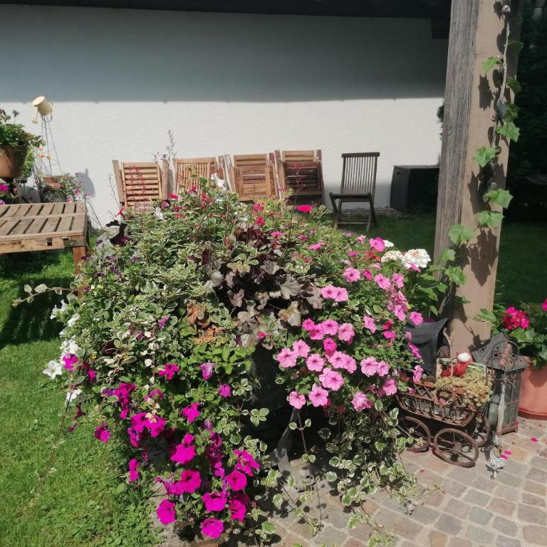 Haus Riedmann Christine - Apartment mit 2 Schlafzimmern und Badezimmer - 9
