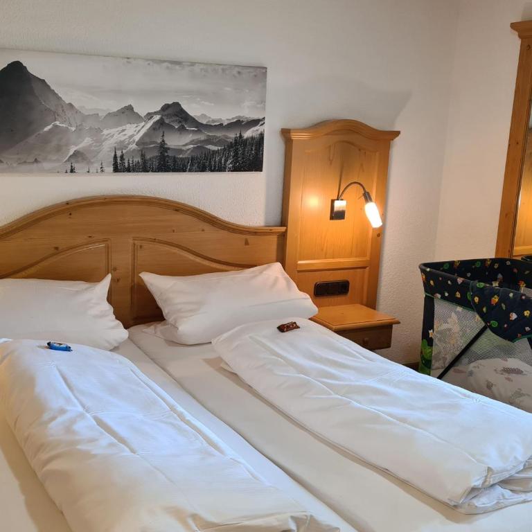 Ferienhof "Alpe Berg" - Appartamento Monolocale - 1