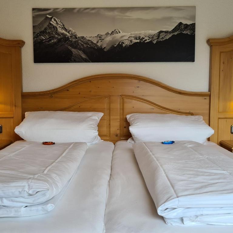 Ferienhof "Alpe Berg" - Appartamento Monolocale - 2