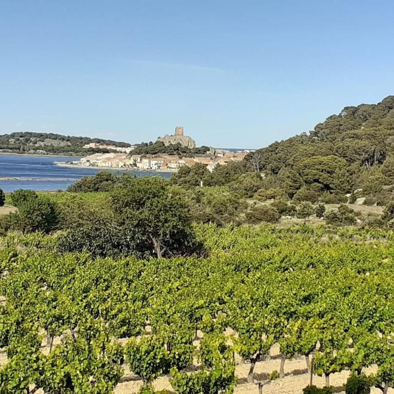 Gruissan Appartement Cosy Vue Port - Two-Bedroom Apartment - 9