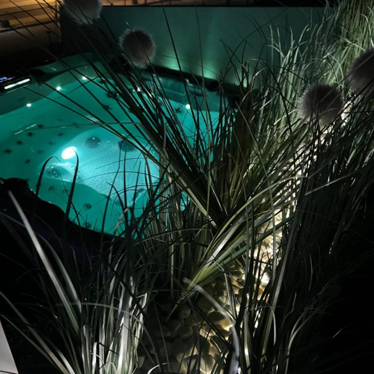 Camporrosso43 luxury penthouse, jacuzzi, billiards - Apartamento de 2 dormitorios - 78