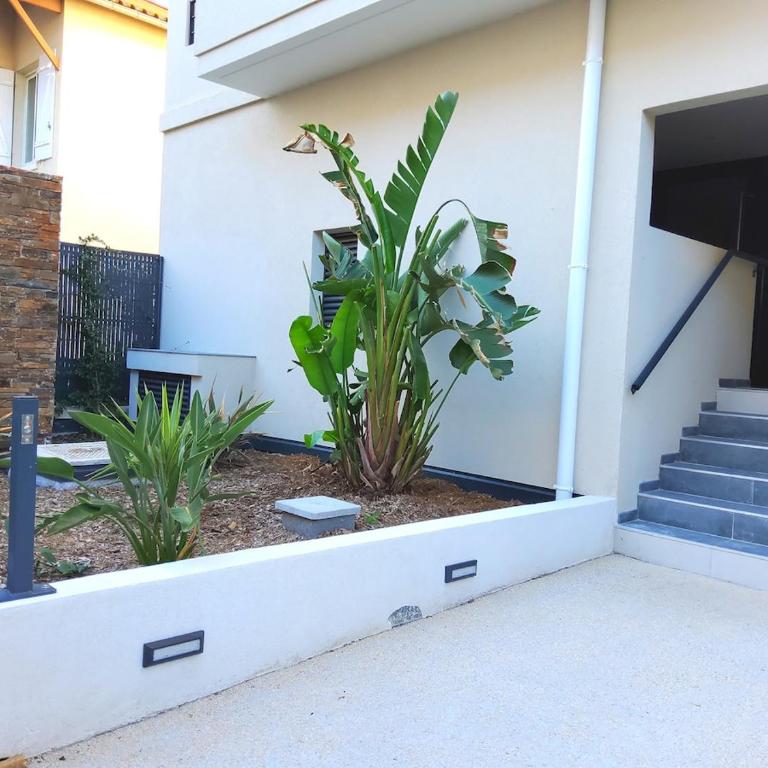 Appart 2 chambres - 50 m de la mer - parking - Appartement - 30