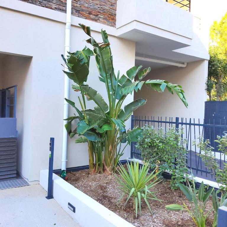 Appart 2 chambres - 50 m de la mer - parking - Appartement - 25
