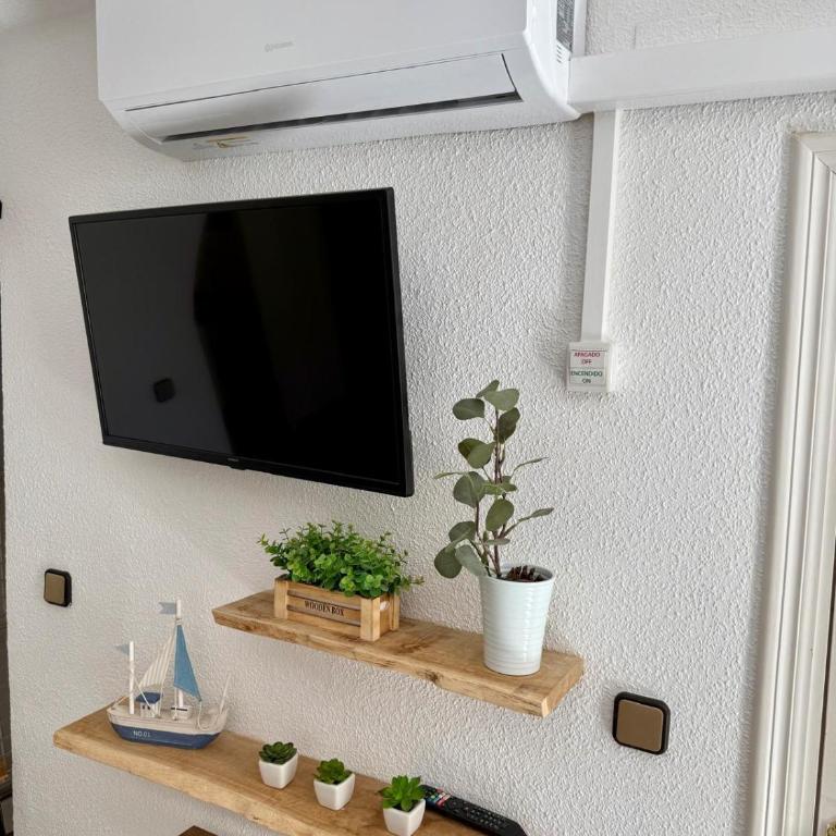 Apartamentos Córcega Palmyra - Estudio con terraza - 4