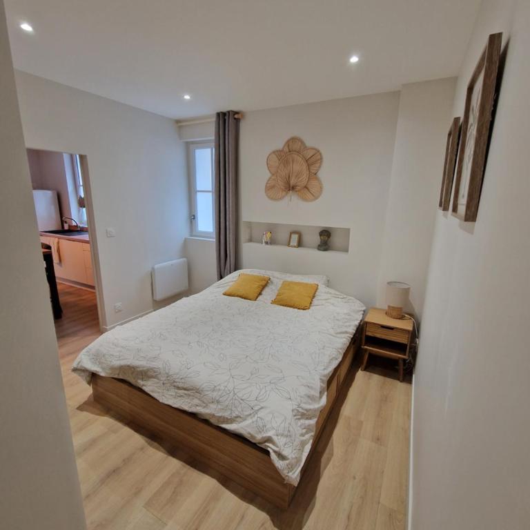 Elegance Showroom - Appartement en Hyper Centre - Appartement 1 Chambre - 10