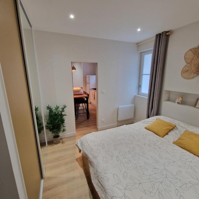 Elegance Showroom - Appartement en Hyper Centre - Appartement 1 Chambre - 11