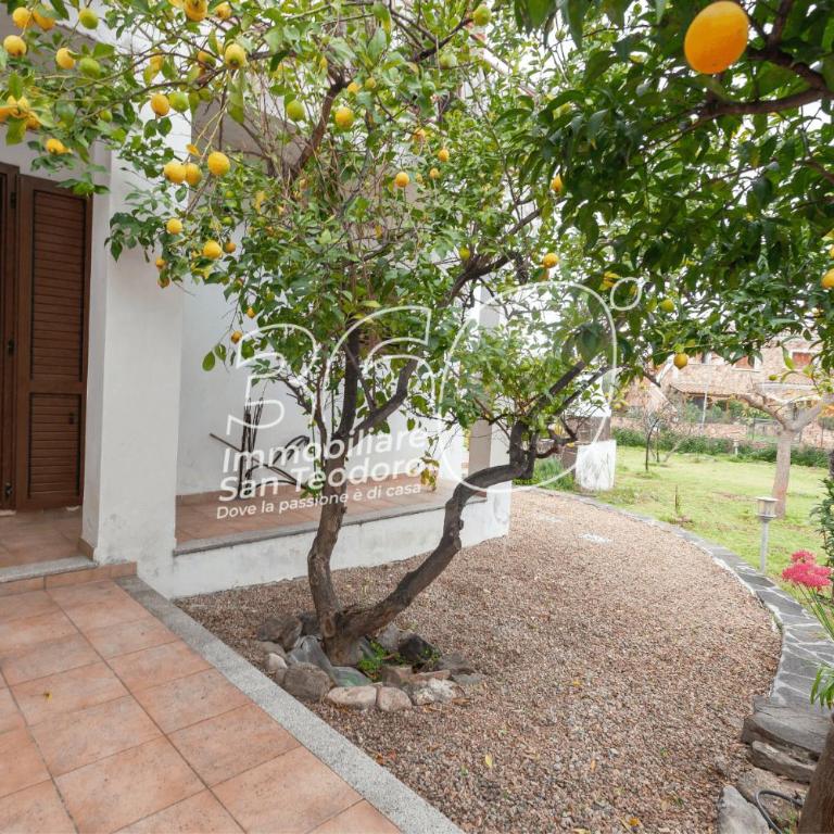 Quadri Lu Mulinu - Casa con 3 Camere da Letto - 48